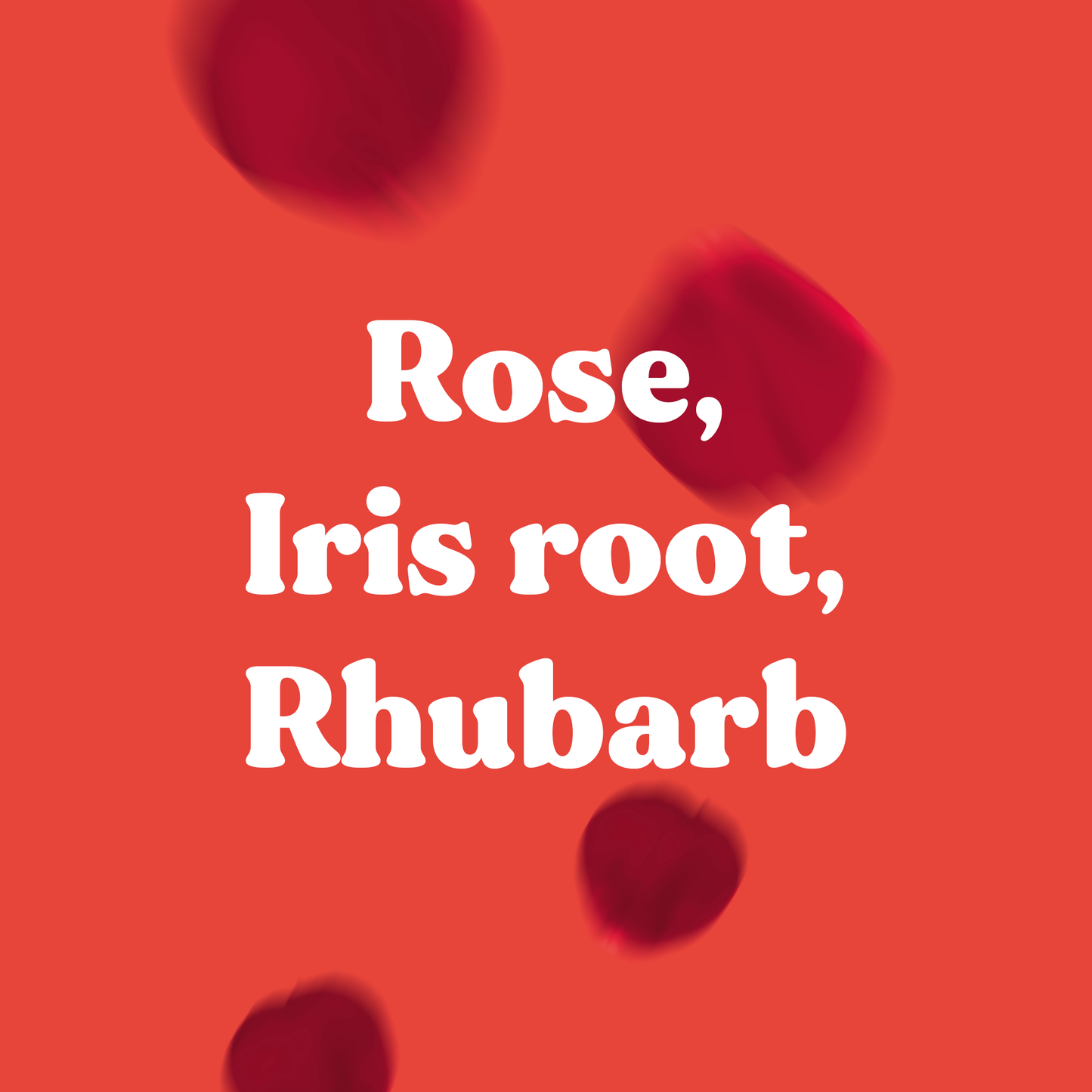 Rose - Natürlicher französischer Weihrauch
